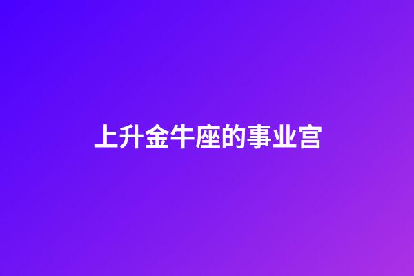 上升金牛座的事业宫-第1张-星座运势-玄机派