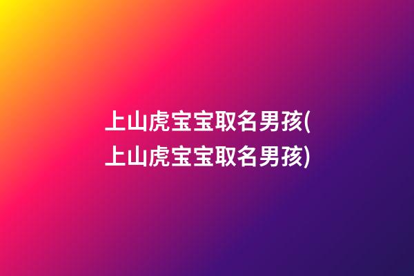 上山虎宝宝取名男孩(上山虎宝宝取名男孩)
