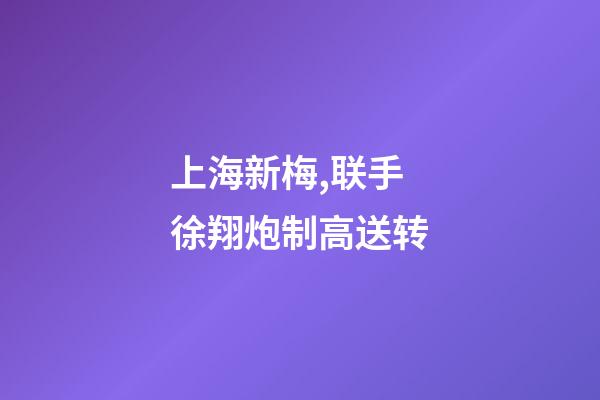 上海新梅,联手徐翔炮制高送转-第1张-观点-玄机派