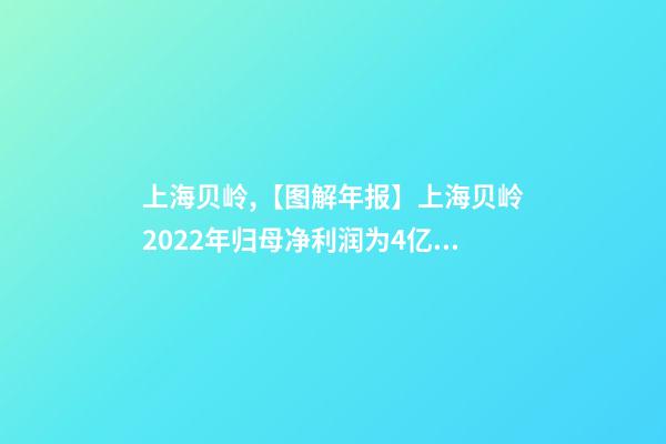 上海贝岭,【图解年报】上海贝岭2022年归母净利润为4亿元-第1张-观点-玄机派