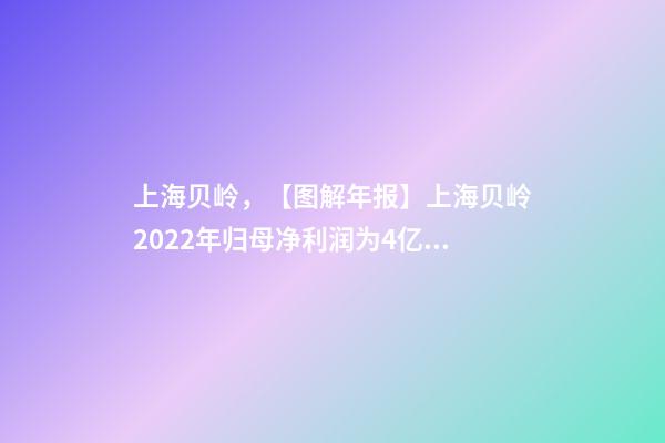 上海贝岭，【图解年报】上海贝岭2022年归母净利润为4亿元-第1张-观点-玄机派