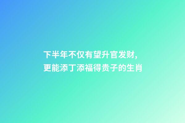 下半年不仅有望升官发财,更能添丁添福得贵子的生肖-第1张-观点-玄机派