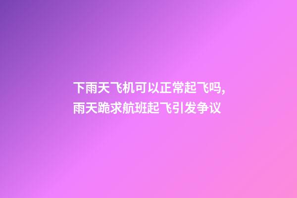下雨天飞机可以正常起飞吗,雨天跪求航班起飞引发争议-第1张-观点-玄机派