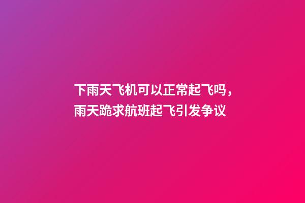 下雨天飞机可以正常起飞吗，雨天跪求航班起飞引发争议-第1张-观点-玄机派