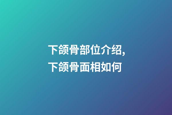 下颌骨部位介绍,下颌骨面相如何