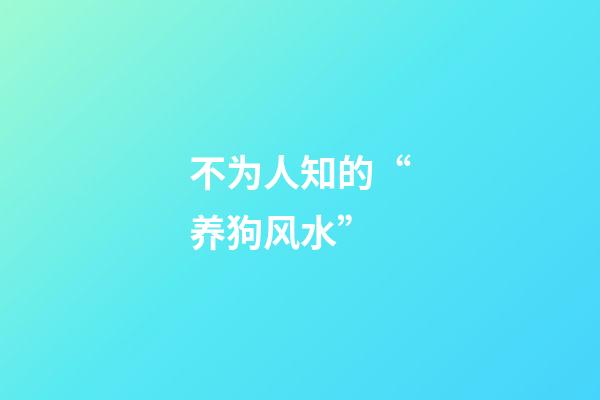 不为人知的“养狗风水”