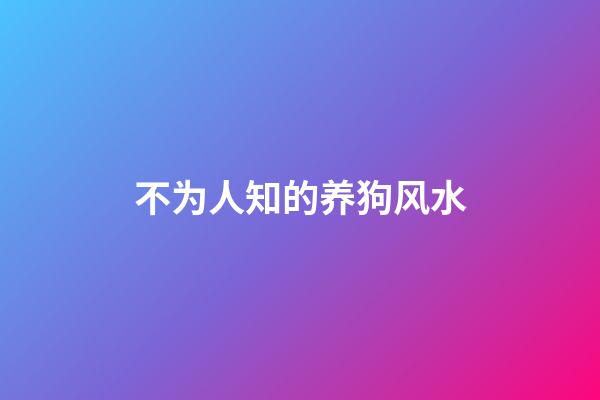 不为人知的养狗风水