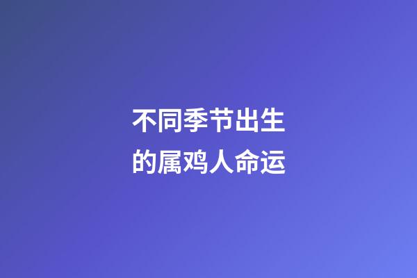 不同季节出生的属鸡人命运