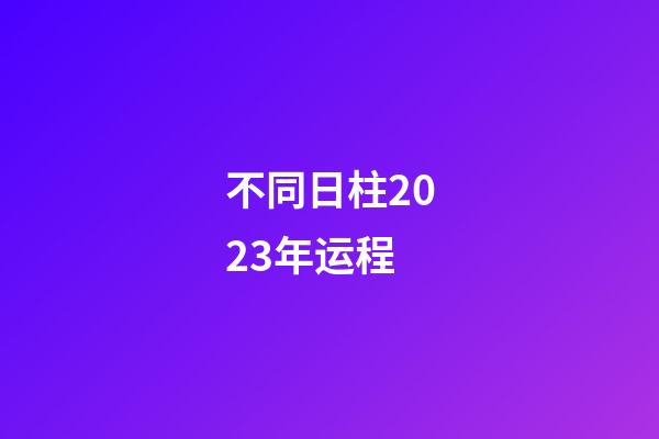 不同日柱2023年运程