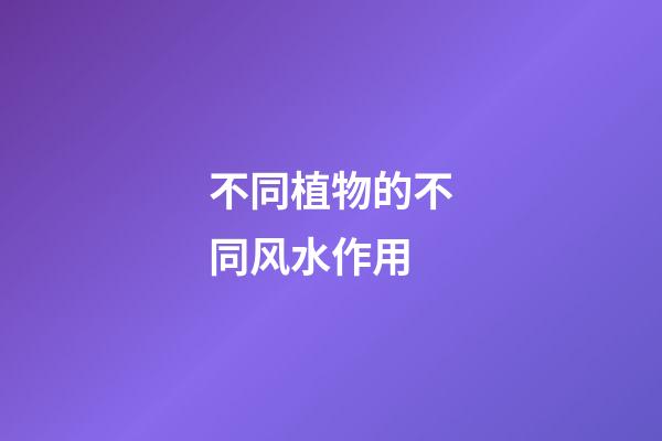 不同植物的不同风水作用