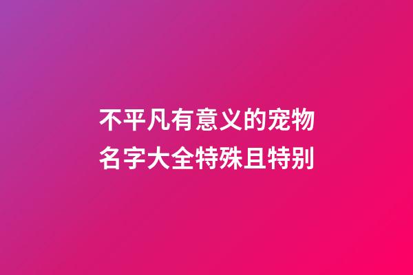 不平凡有意义的宠物名字大全特殊且特别