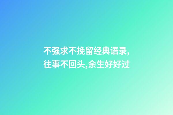 不强求不挽留经典语录,往事不回头,余生好好过-第1张-观点-玄机派