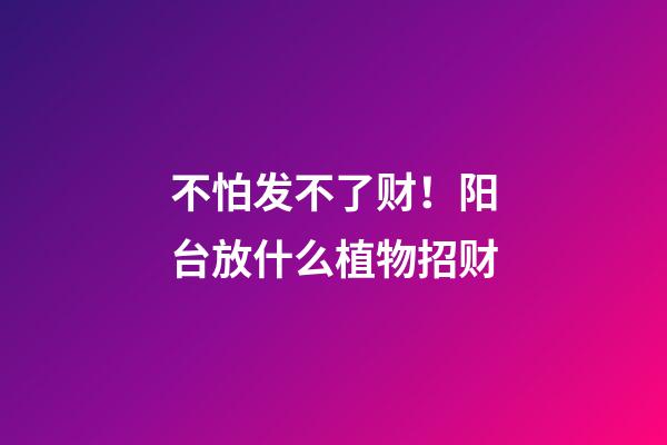 不怕发不了财！阳台放什么植物招财