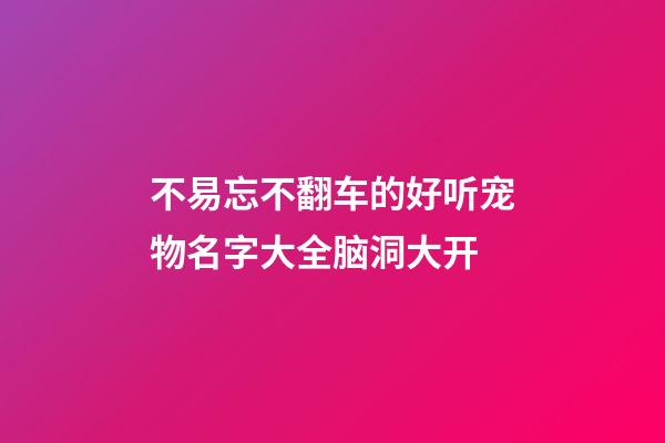 不易忘不翻车的好听宠物名字大全脑洞大开