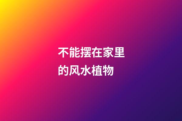 不能摆在家里的风水植物