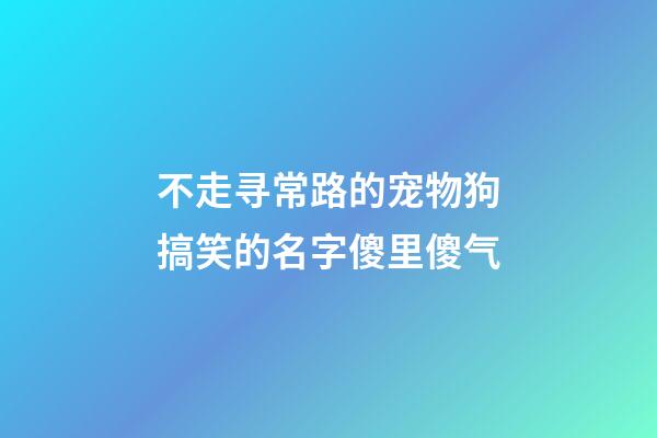不走寻常路的宠物狗搞笑的名字傻里傻气