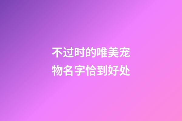 不过时的唯美宠物名字恰到好处