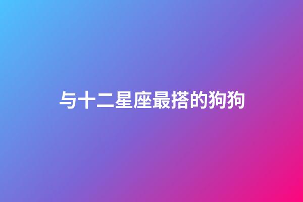 与十二星座最搭的狗狗-第1张-星座运势-玄机派