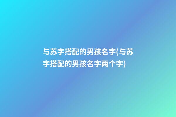 与苏字搭配的男孩名字(与苏字搭配的男孩名字两个字)