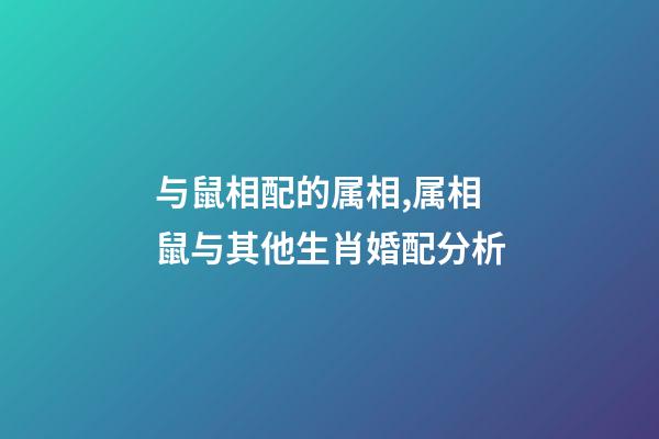 与鼠相配的属相,属相鼠与其他生肖婚配分析-第1张-观点-玄机派
