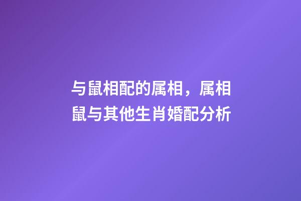 与鼠相配的属相，属相鼠与其他生肖婚配分析-第1张-观点-玄机派