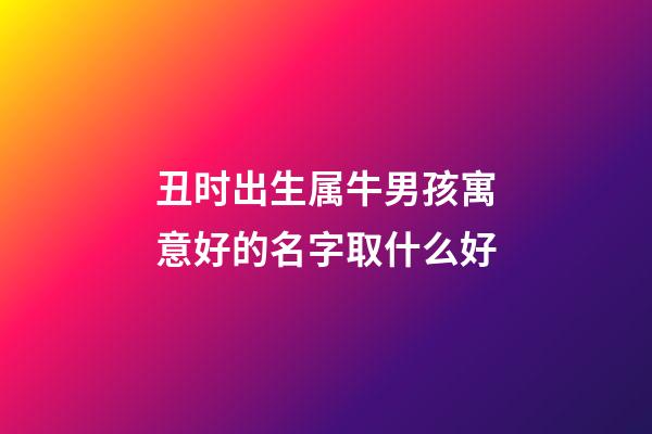 丑时出生属牛男孩寓意好的名字取什么好