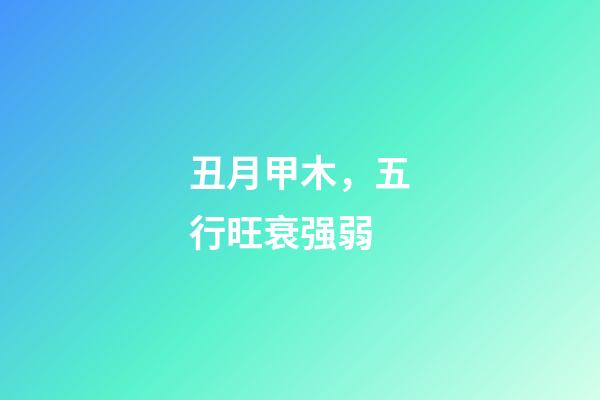 丑月甲木，五行旺衰强弱-第1张-观点-玄机派