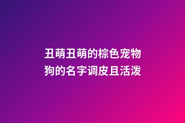 丑萌丑萌的棕色宠物狗的名字调皮且活泼