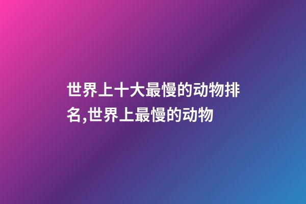 世界上十大最慢的动物排名,世界上最慢的动物-第1张-观点-玄机派