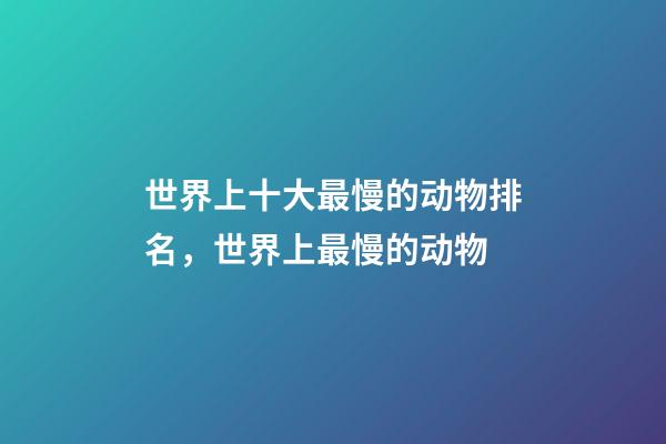 世界上十大最慢的动物排名，世界上最慢的动物-第1张-观点-玄机派