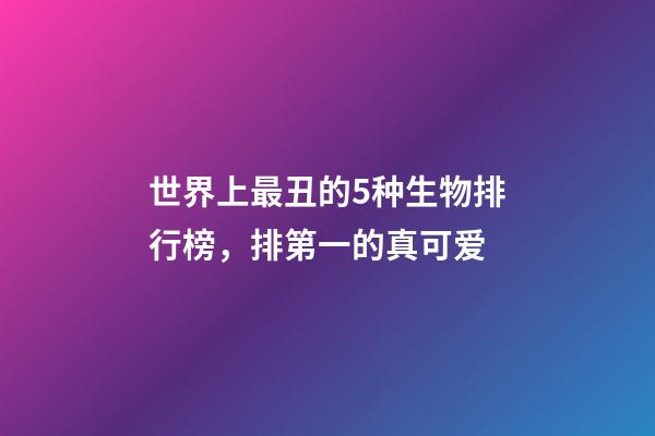 世界上最丑的5种生物排行榜，排第一的真可爱-第1张-观点-玄机派