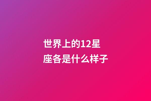 世界上的12星座各是什么样子-第1张-星座运势-玄机派