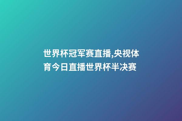 世界杯冠军赛直播,央视体育今日直播世界杯半决赛(阿根廷-克罗地亚)-第1张-观点-玄机派