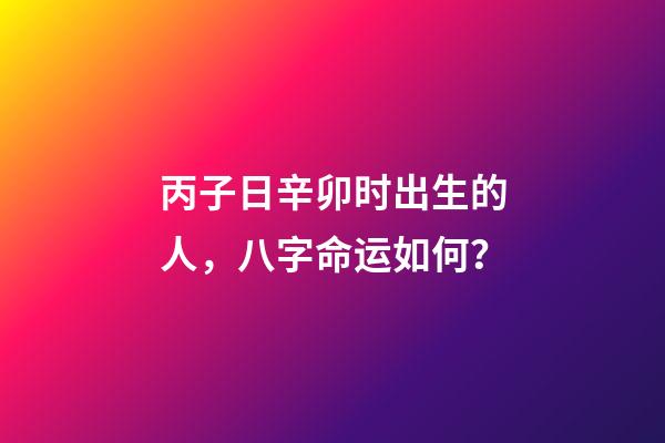 丙子日辛卯时出生的人，八字命运如何？