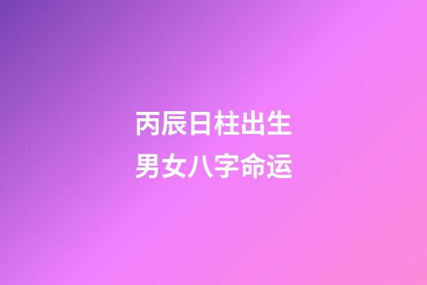 丙辰日柱出生男女八字命运