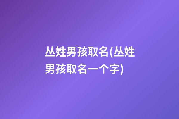 丛姓男孩取名(丛姓男孩取名一个字)