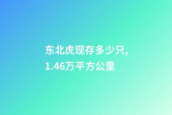 东北虎现存多少只,1.46万平方公里-第1张-观点-玄机派