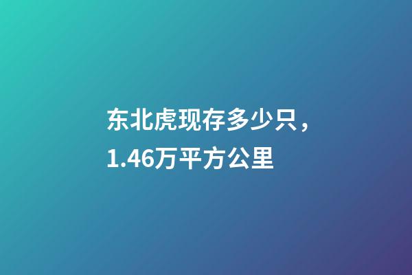 东北虎现存多少只，1.46万平方公里-第1张-观点-玄机派