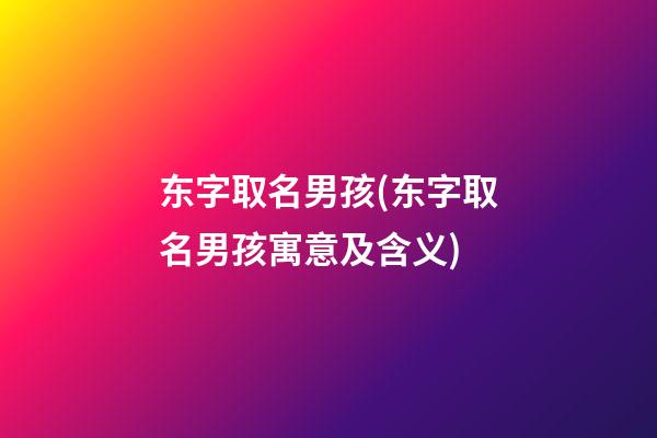 东字取名男孩(东字取名男孩寓意及含义)