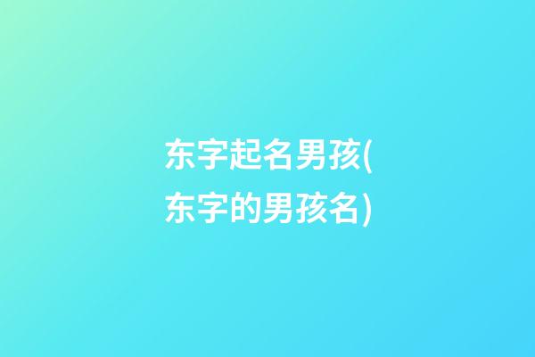 东字起名男孩(东字的男孩名)