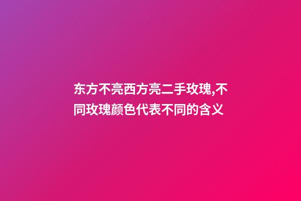 东方不亮西方亮二手玫瑰,不同玫瑰颜色代表不同的含义-第1张-观点-玄机派