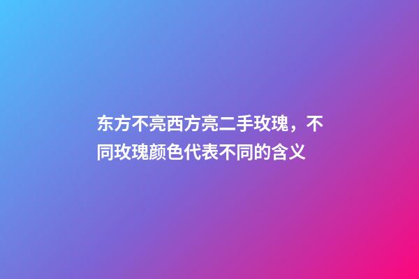 东方不亮西方亮二手玫瑰，不同玫瑰颜色代表不同的含义-第1张-观点-玄机派