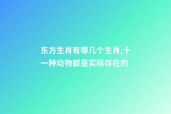东方生肖有哪几个生肖,十一种动物都是实际存在的-第1张-观点-玄机派