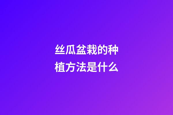 丝瓜盆栽的种植方法是什么