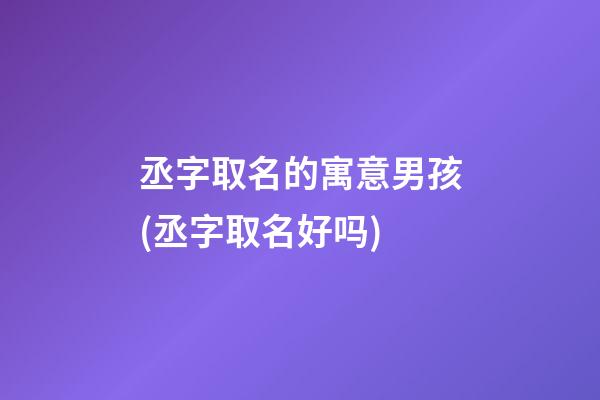 丞字取名的寓意男孩(丞字取名好吗)
