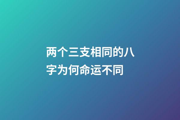 两个三支相同的八字为何命运不同