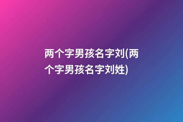 两个字男孩名字刘(两个字男孩名字刘姓)
