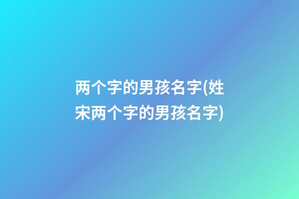 两个字的男孩名字(姓宋两个字的男孩名字)
