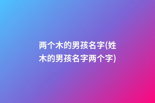 两个木的男孩名字(姓木的男孩名字两个字)
