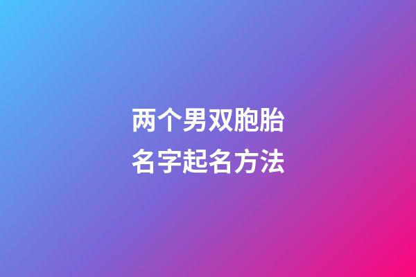 两个男双胞胎名字起名方法